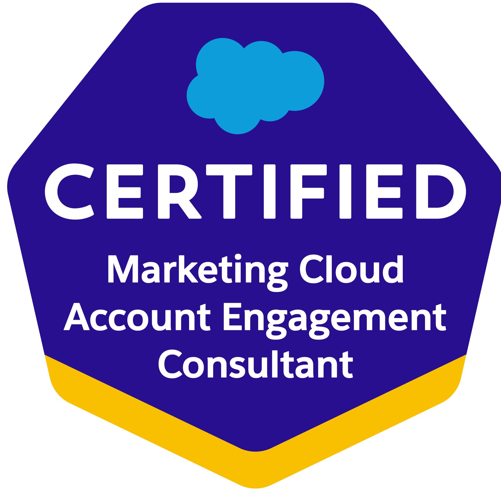 Salesforce認定 Account Engagement Consultant