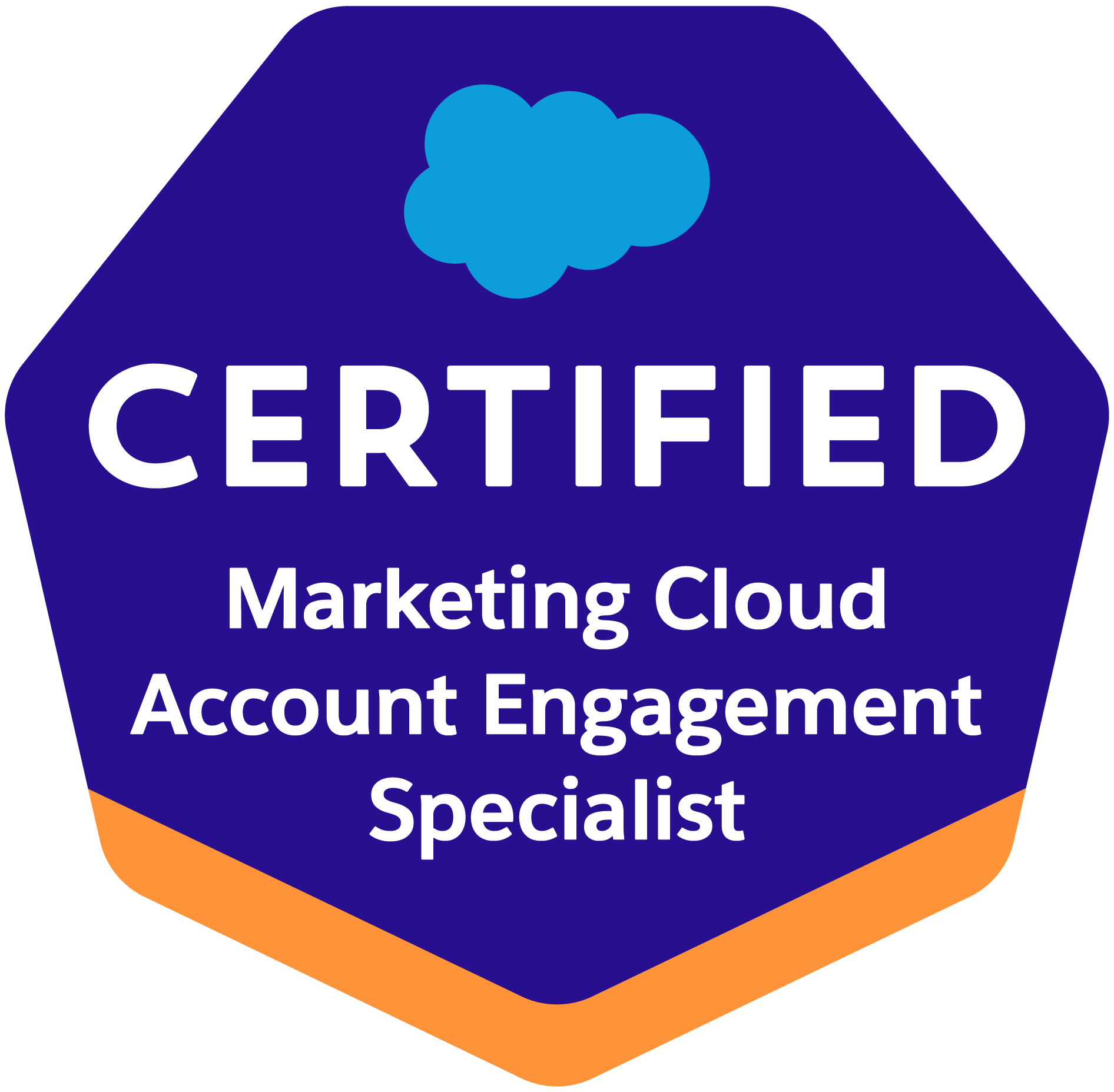 Salesforce認定 Account Engagement Specialist