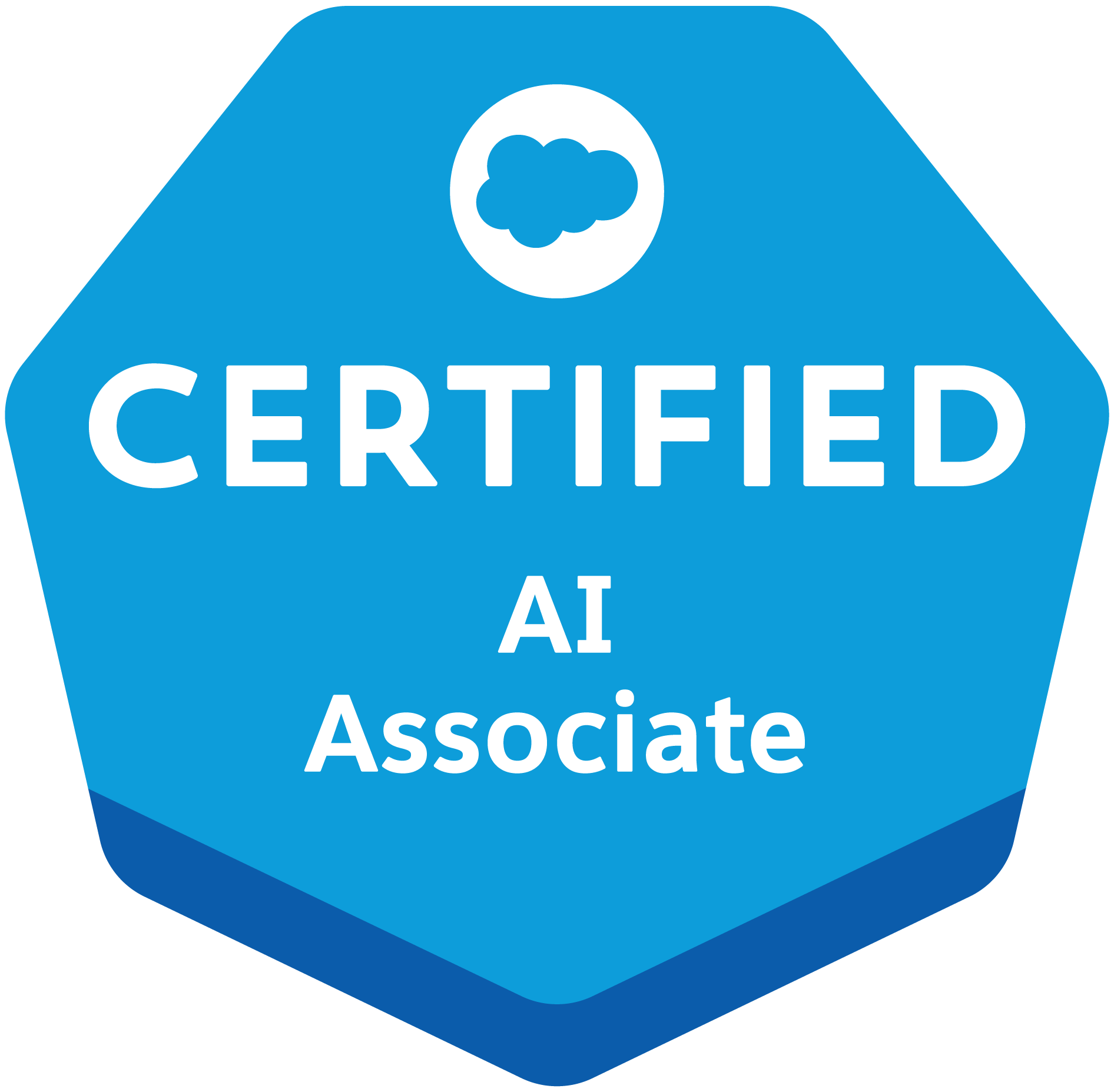 Salesforce認定 AI Associate(取得実績)