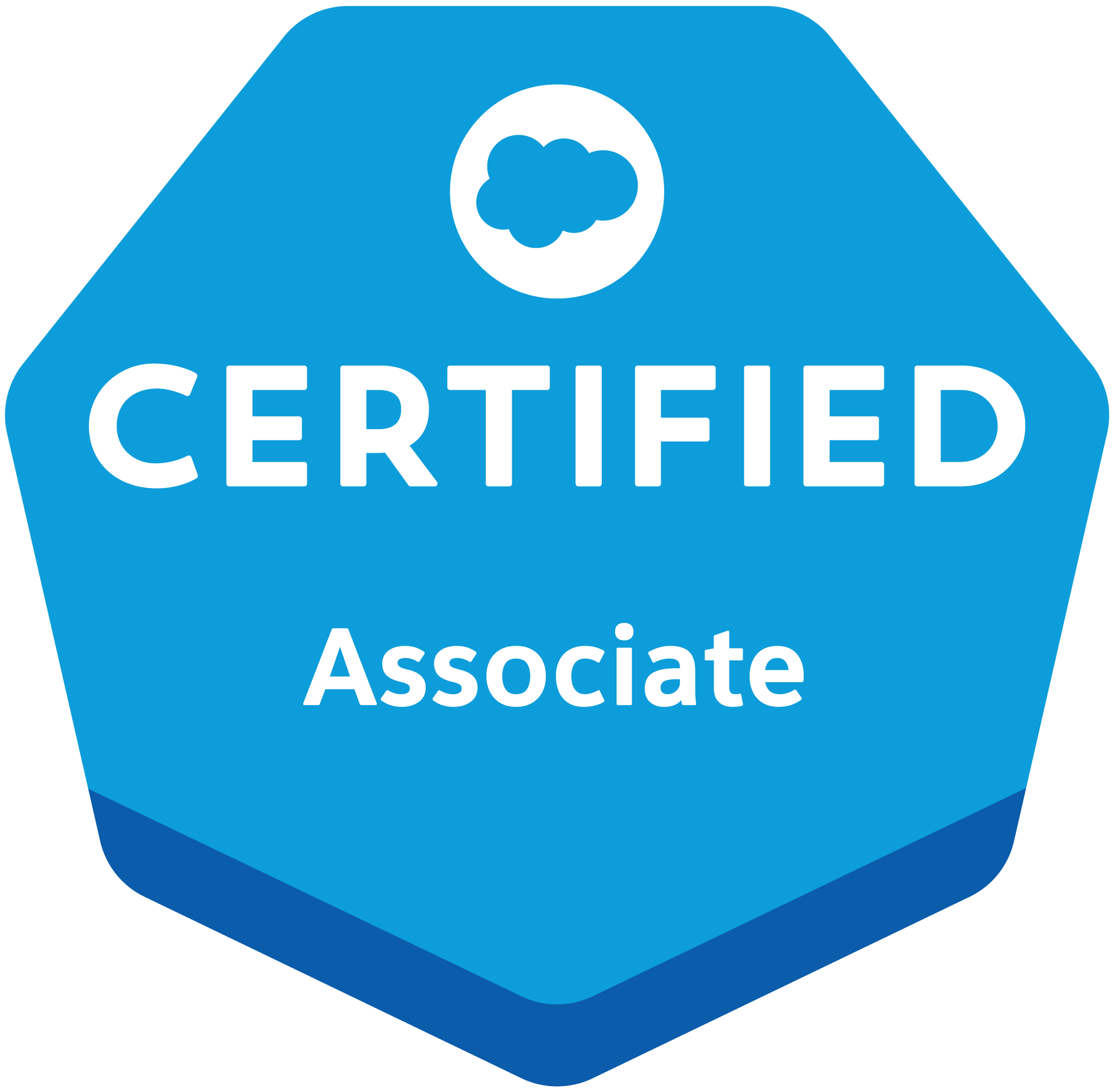 Salesforce認定 Salesforce Associate