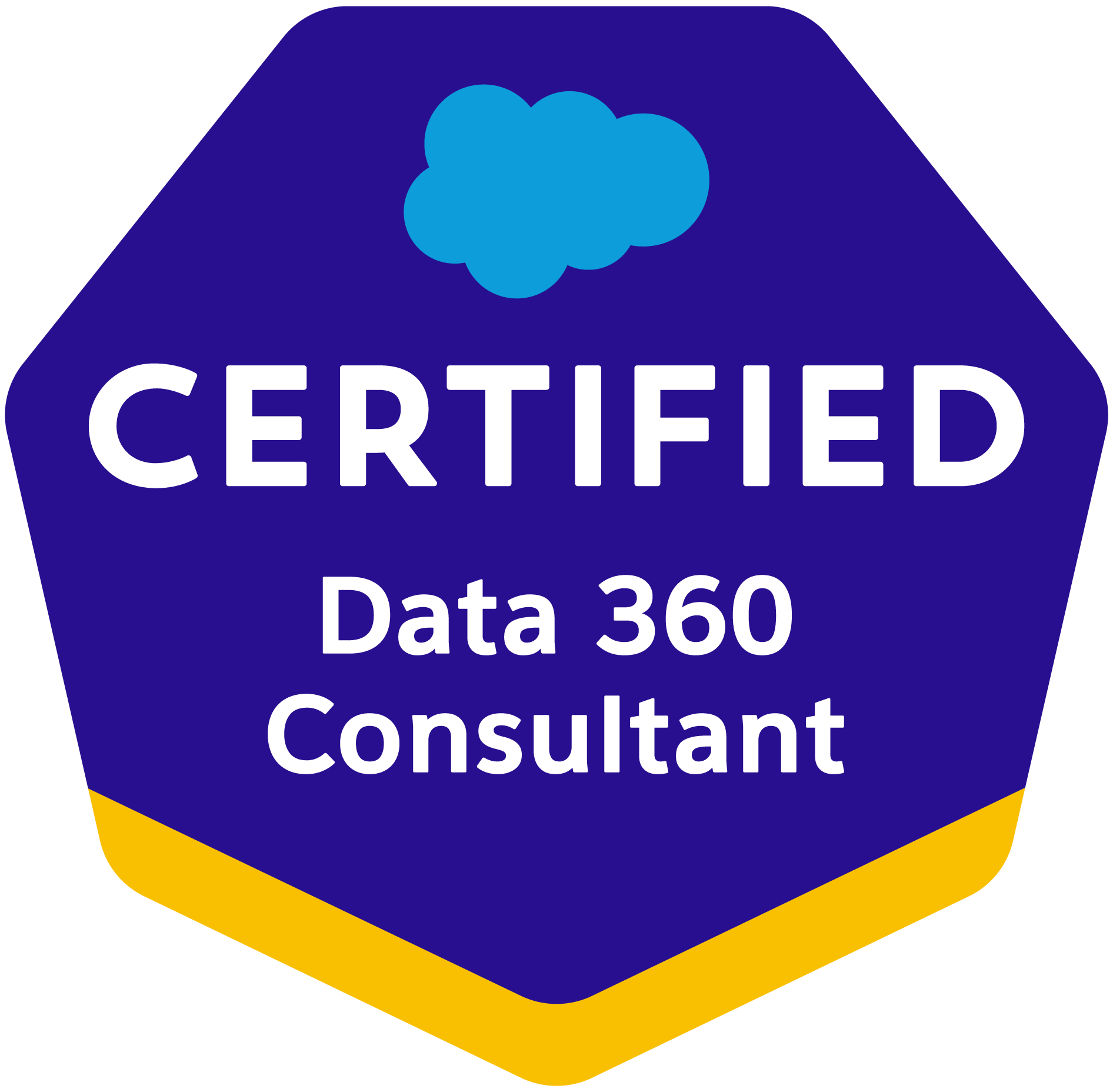 Salesforce認定 Data 360 コンサルタント